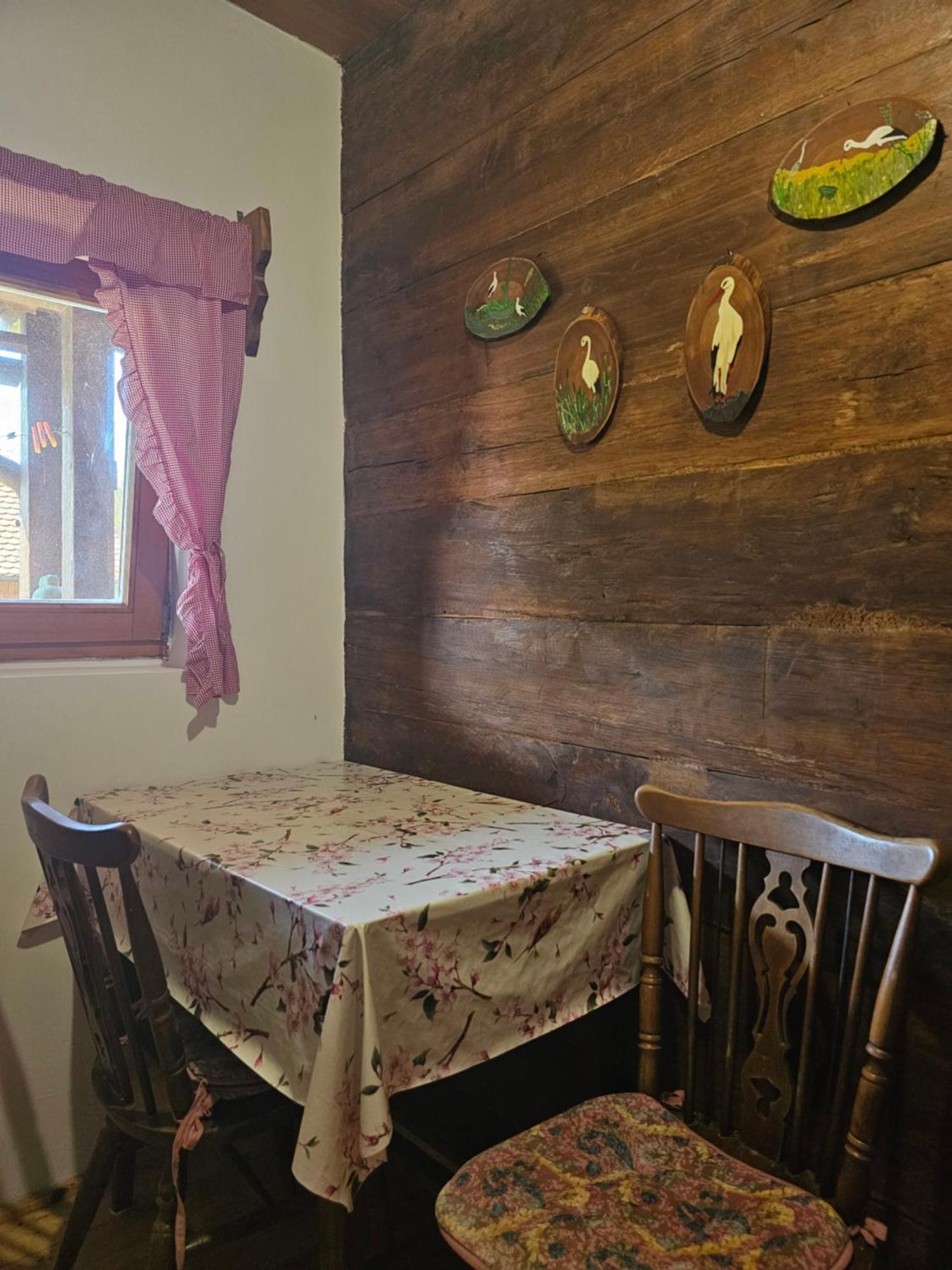 Apartments Kuvarna Cigoc Luaran gambar